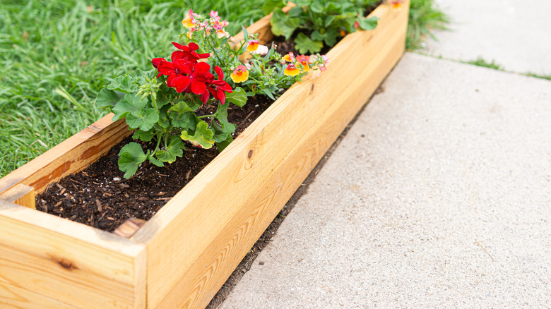 Cedar planter box with flowers