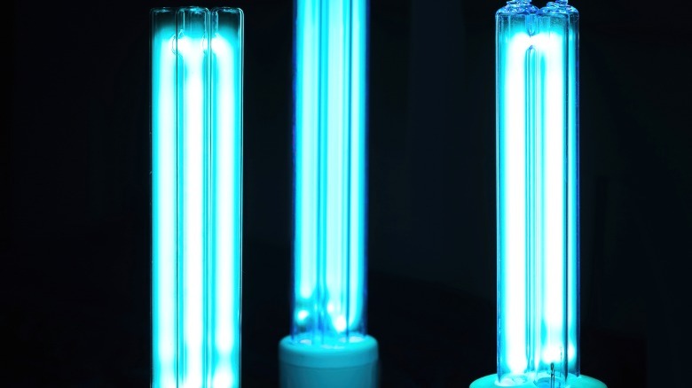 three illuminated UV lamps