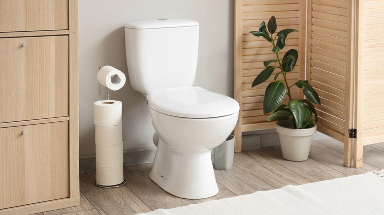 New toilet installed in modern, neutral bathroom