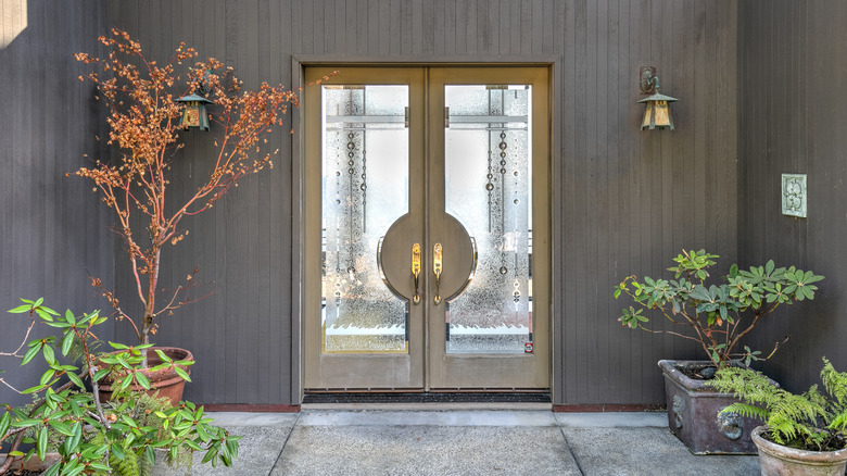 Metal and glass front door 