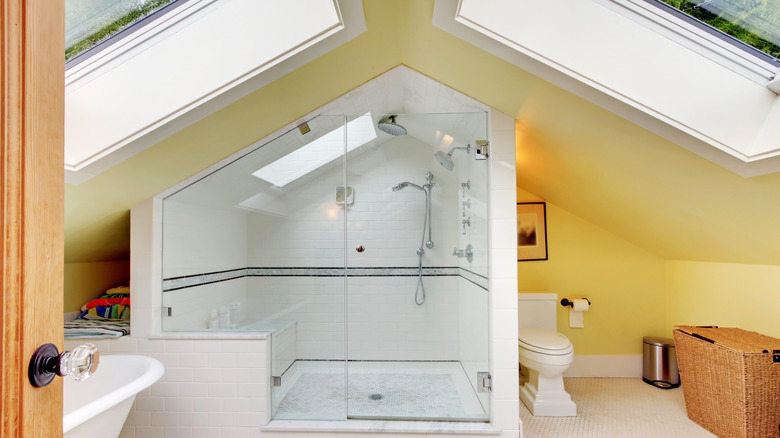 bathroom with skylights