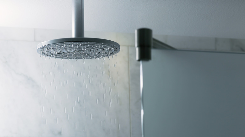 rainfall showerhead