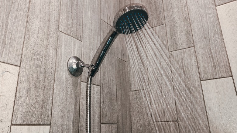 pull-down shower head