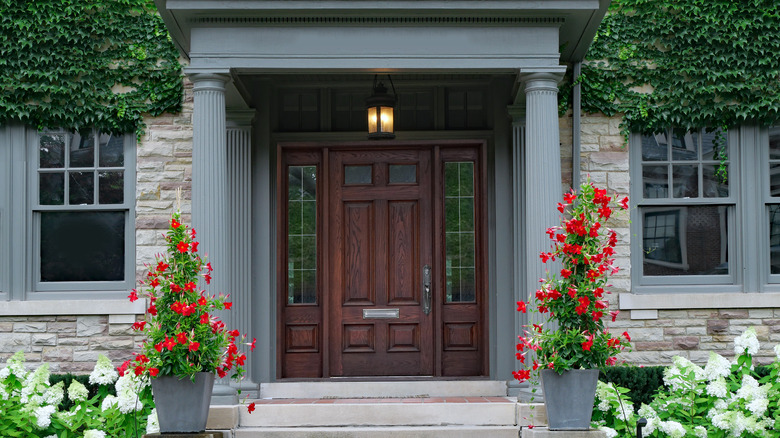 Elegant brown door