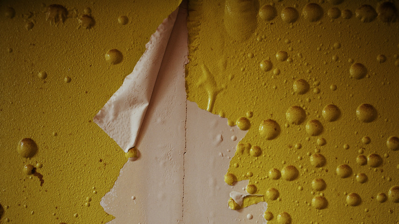 Yellow bubbling wallpaper that's also peeling