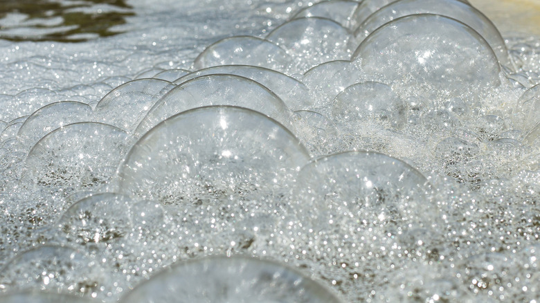 Bubbles floating on pool surface
