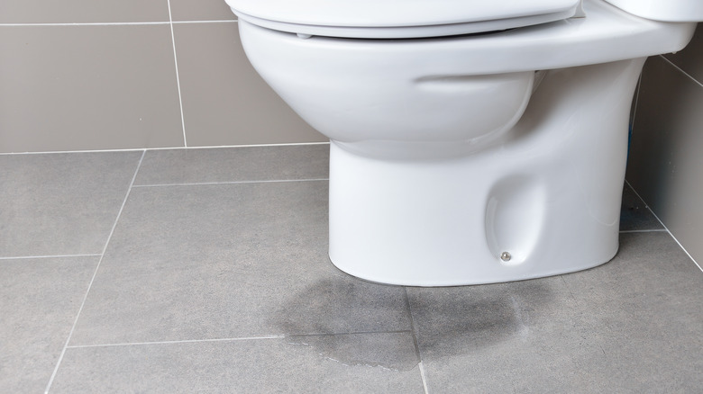 Water near toilet on floor