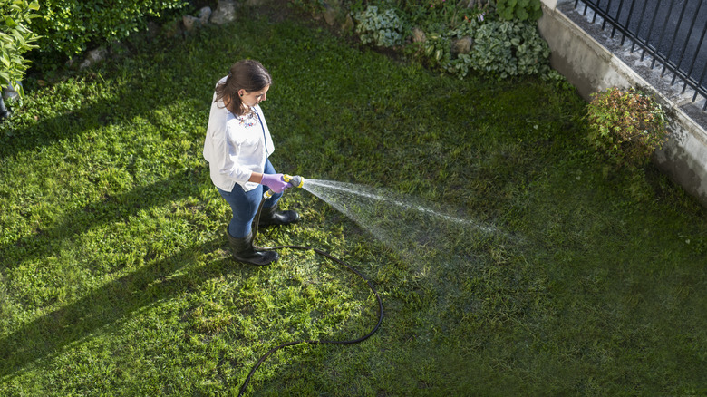 person watering lawn