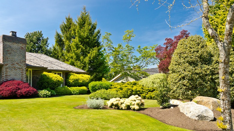 Well-manicured garden with trees