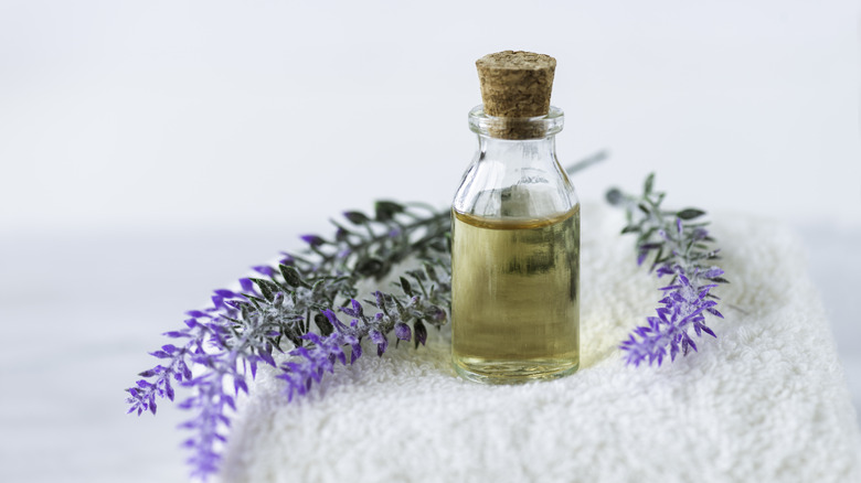 Lavender essential oil