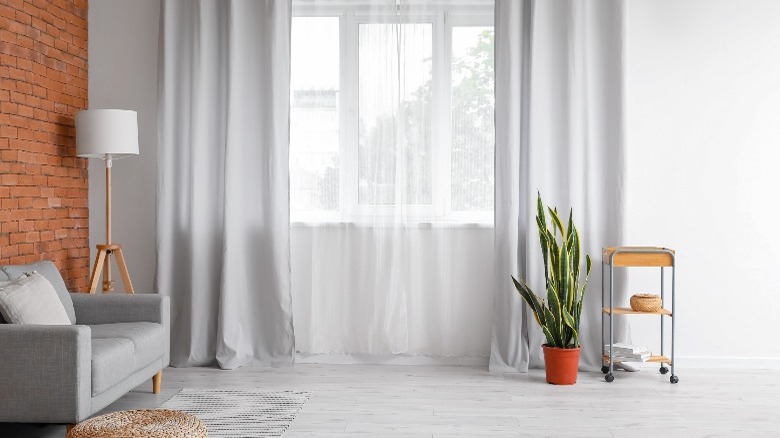 Wall with light gray sheer curtains