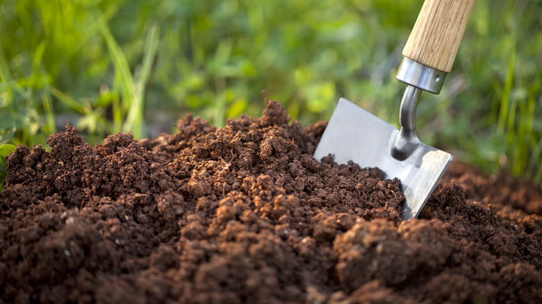 hand trowel garden tool