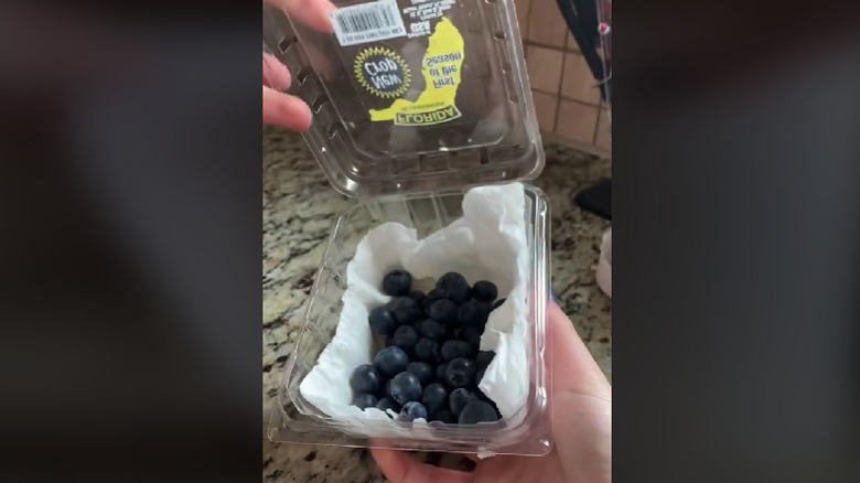 A paper towel under some blueberries