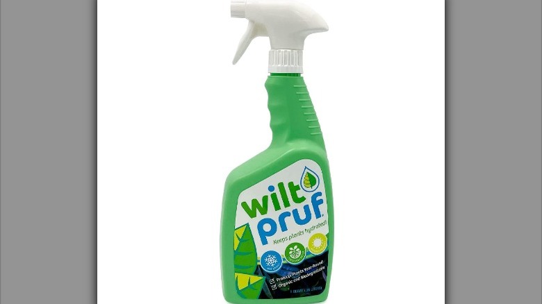 wilt pruf spray bottle