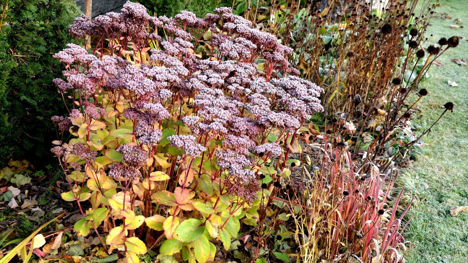 Simple Steps To Winterize Your Flower Beds Outside Your Home