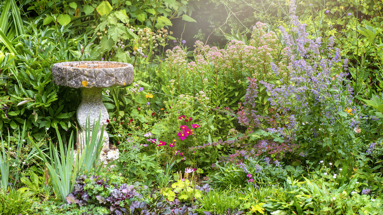 A birdbath is surrounded by flowers and other greenery.