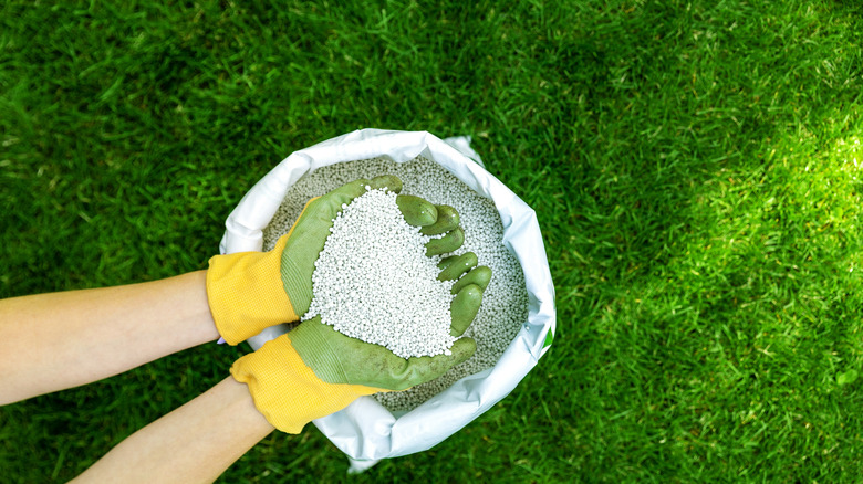 Granular lawn fertilizer