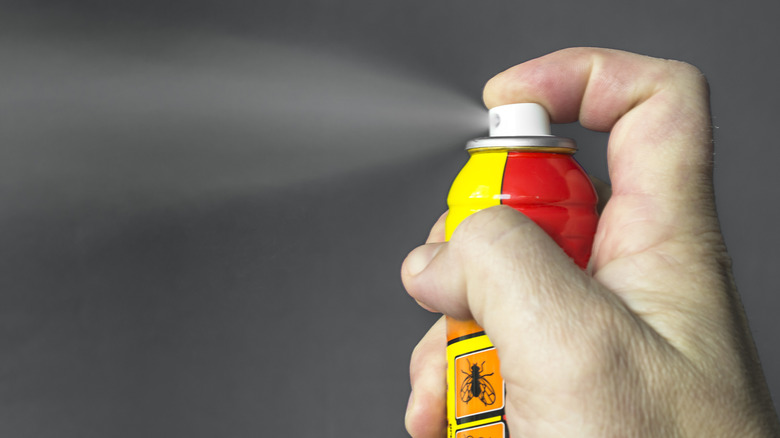hand spraying insecticide from can