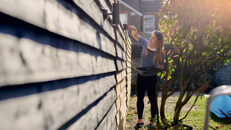 Woman painting a wood fence