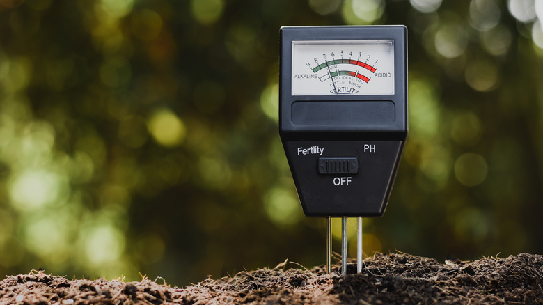 pH meter in soil