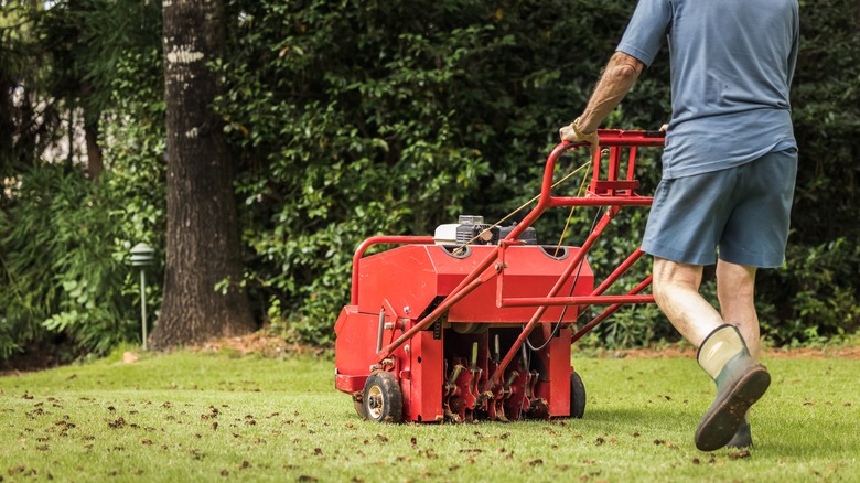 Person aerating lawn 