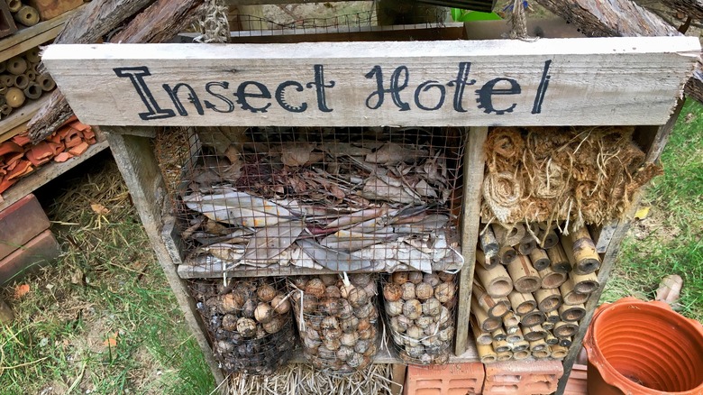 An insect hotel 