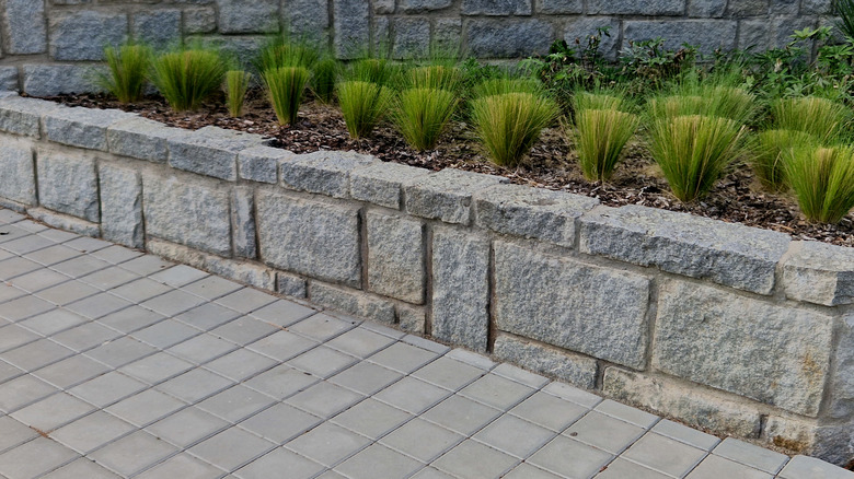 Retaining wall next to a paver walkway