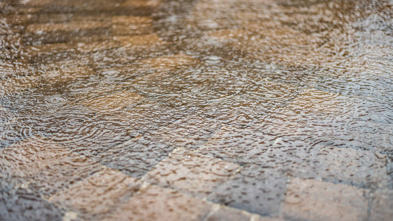 Heavy rain flooding patio pavers