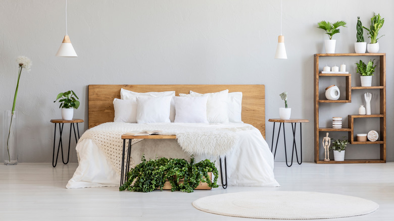 Houseplants in bedroom