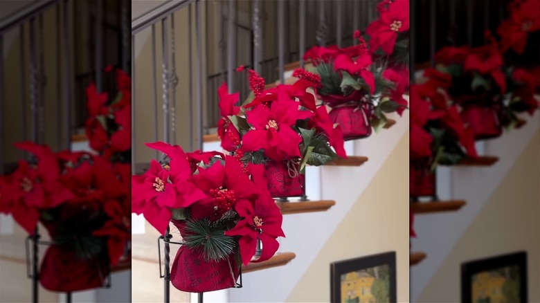 Poinsettias hanging from banister