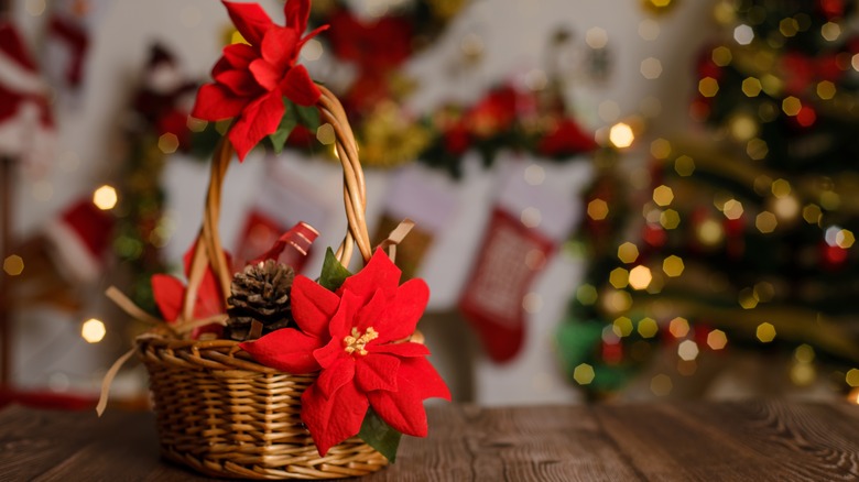 Red poinsettias in woven basket