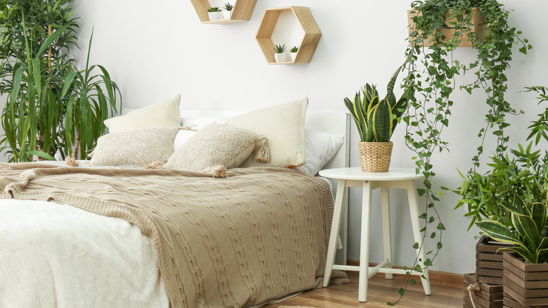 bedroom with variety of plants