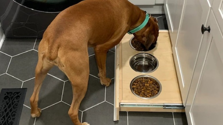 Hidden pet bowl drawer installed under lower kitchen cabinets