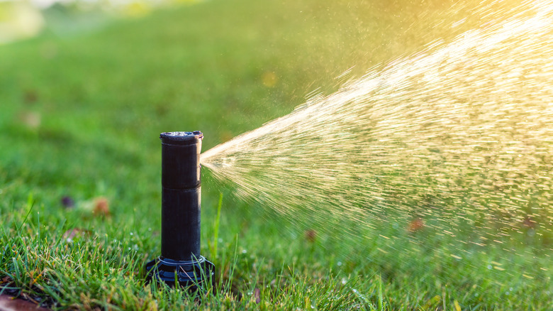 Smart lawn sprinkler spraying