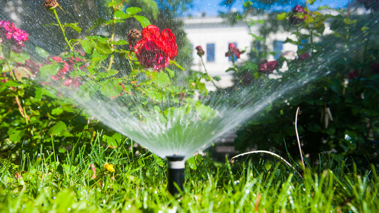 Smart garden and lawn sprinkler