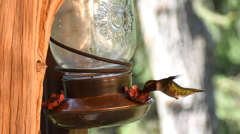 Mason jar hummingbird feeder