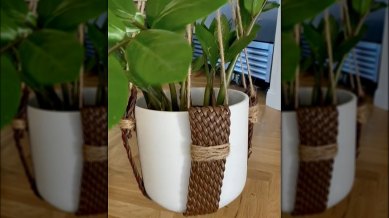 belt plant hanger with plant