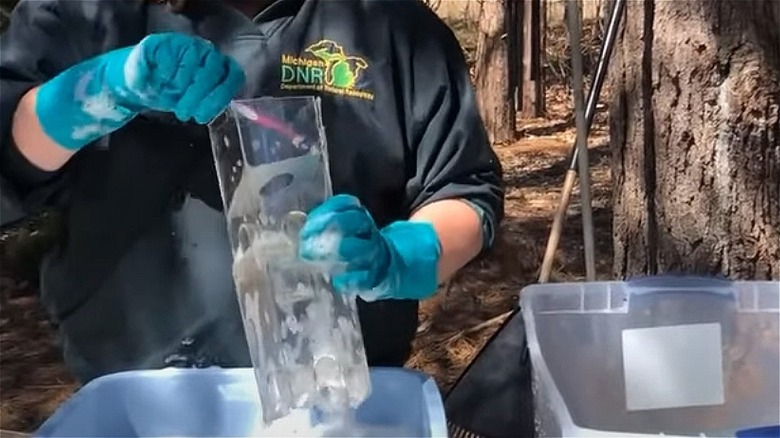 Woman scrubbing bird feeder