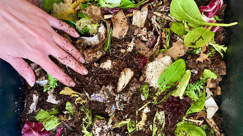 hand in compost pile