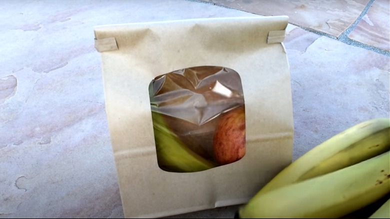 stages of banana ripening