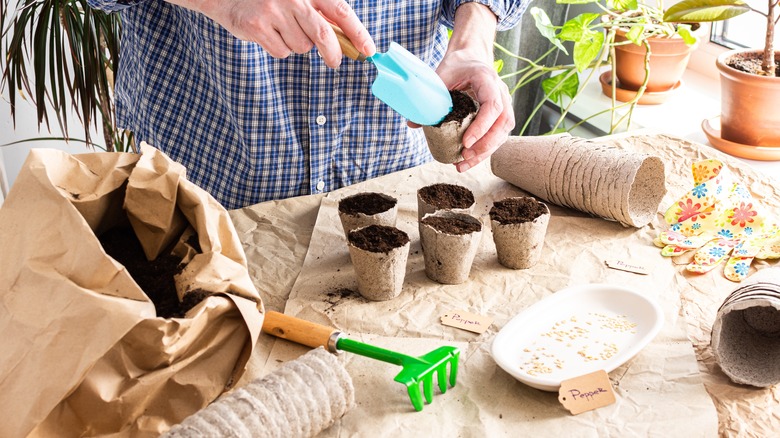 person planting seeds in paper pots