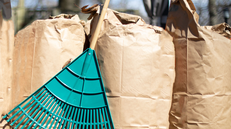 rake and brown paper bags