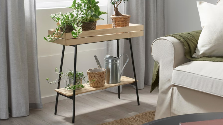 IKEA plant stand near window