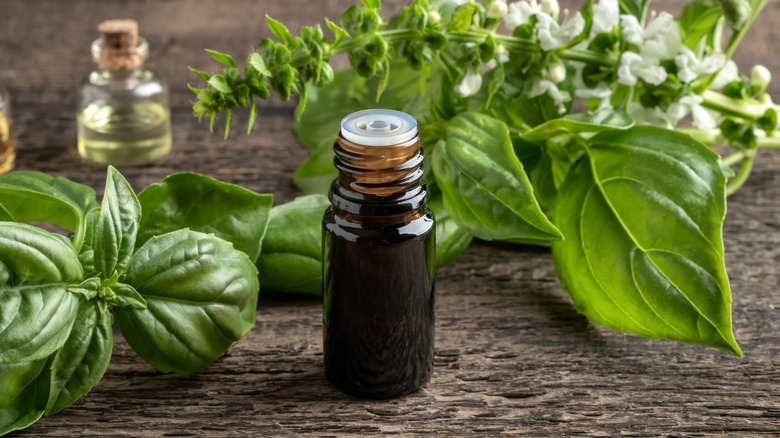 Basil sprigs and a bottle of oil