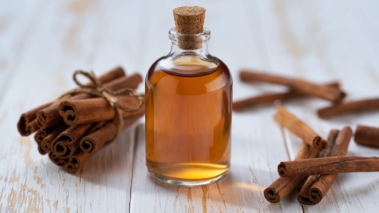 Bottled cinnamon oil next to cinnamon sticks