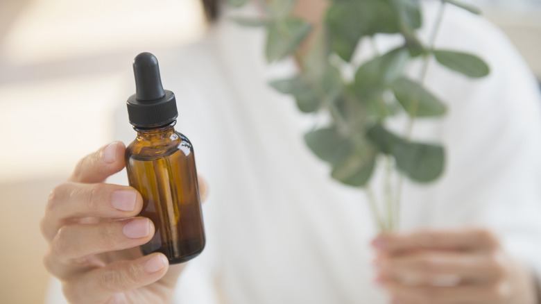 Person holding a eucalyptus sprig and a bottle of essential oil