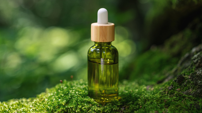 Glass bottle of tea tree oil in a nature setting