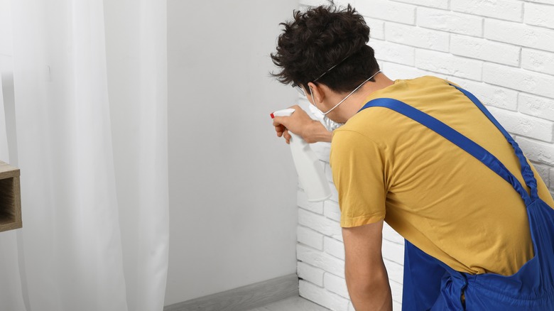 man cleaning mold from wall