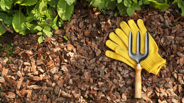 soil with mulch on top