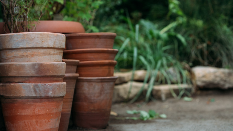 terra cotta pots